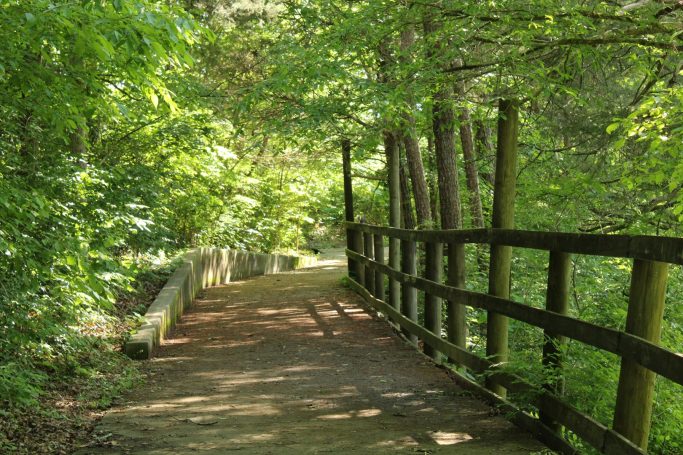Free time in yoga retreat